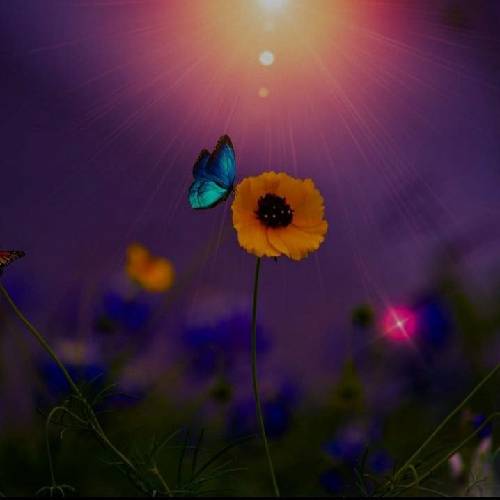 نه دیگه مال خودت نی اَکتت وقتی خودت از خودتی خسته